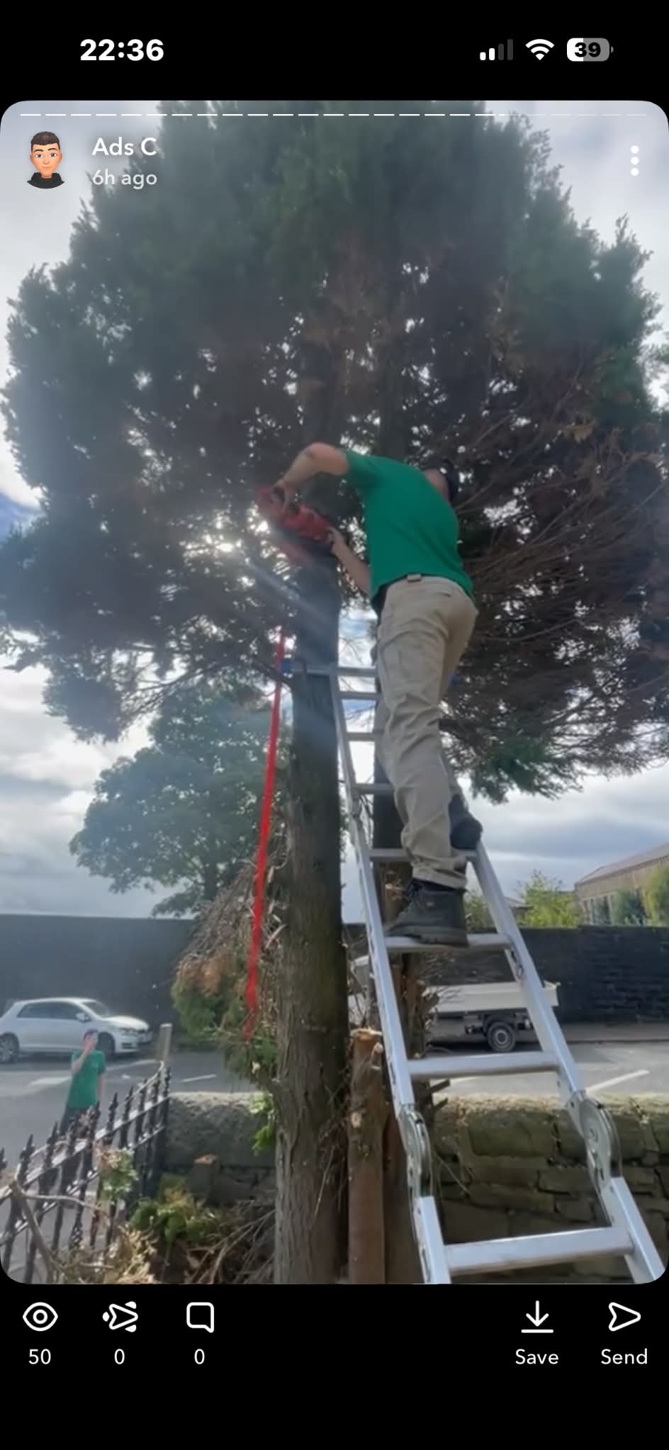 Tree cutting work in progress