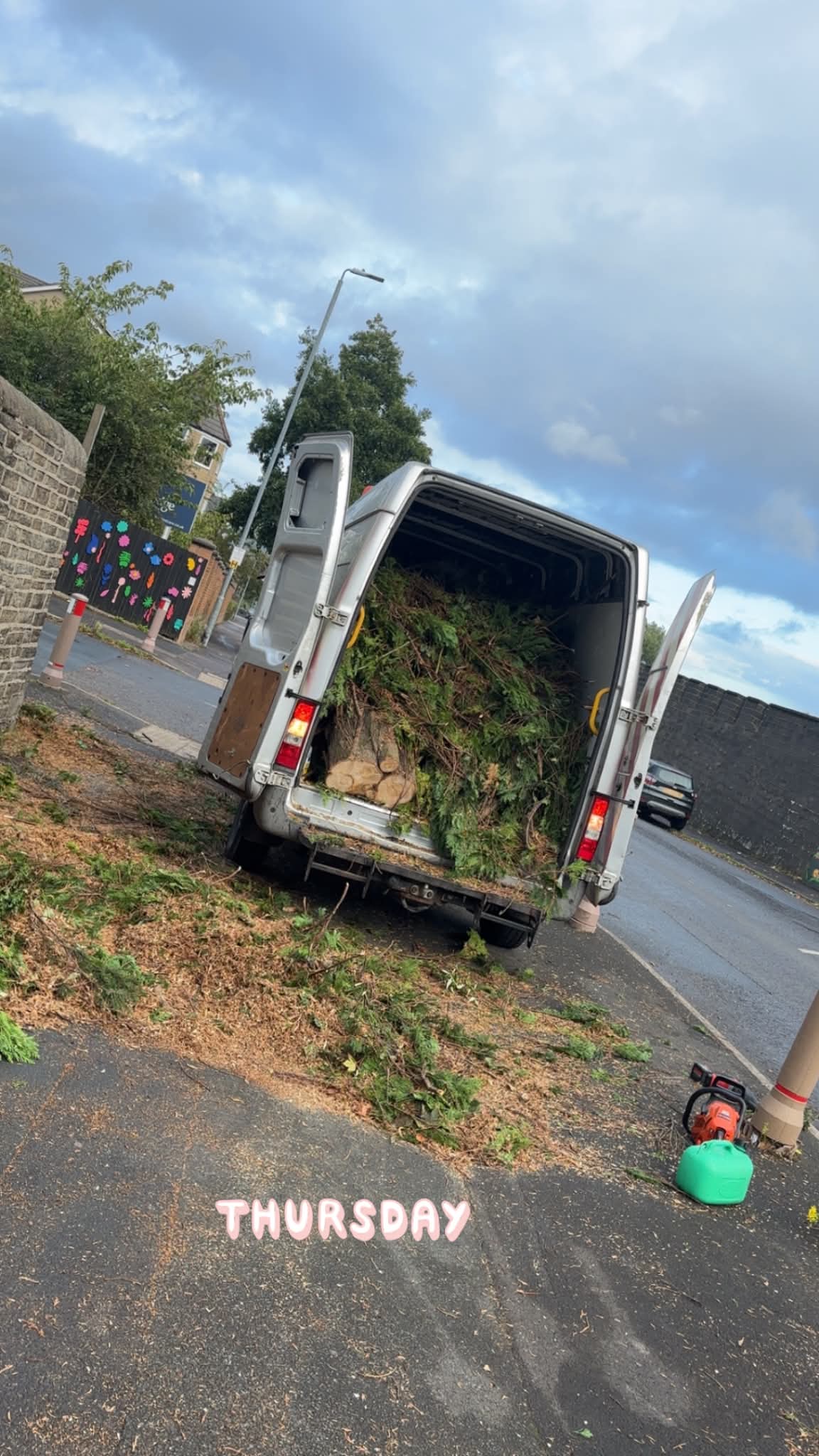 Van loaded with branches and green waste